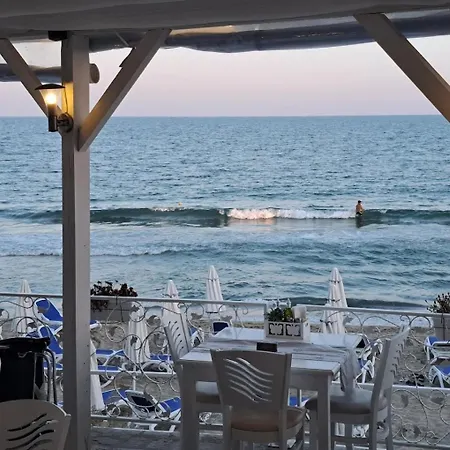 Dream 3 Butterfly Sunny Beach
